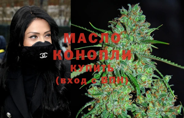 дживик Сясьстрой
