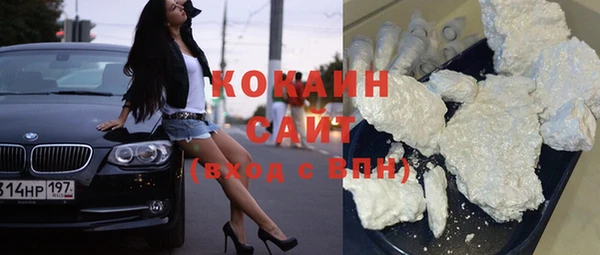 дживик Сясьстрой