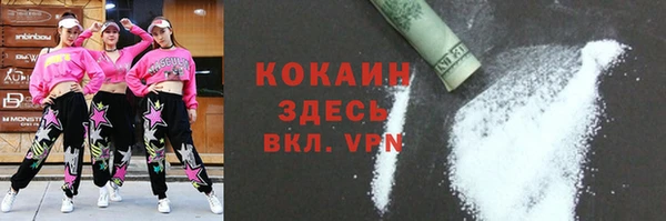 дживик Сясьстрой