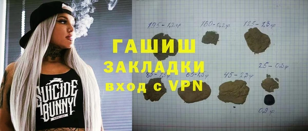 дживик Сясьстрой
