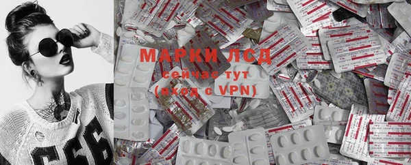 дживик Сясьстрой