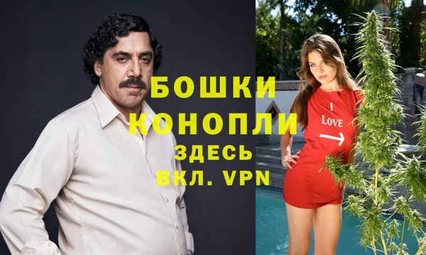 дживик Сясьстрой
