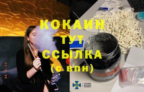 дживик Сясьстрой