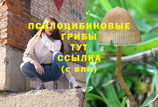 дурь Тайга