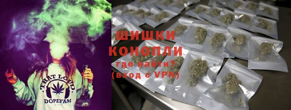 дурь Тайга